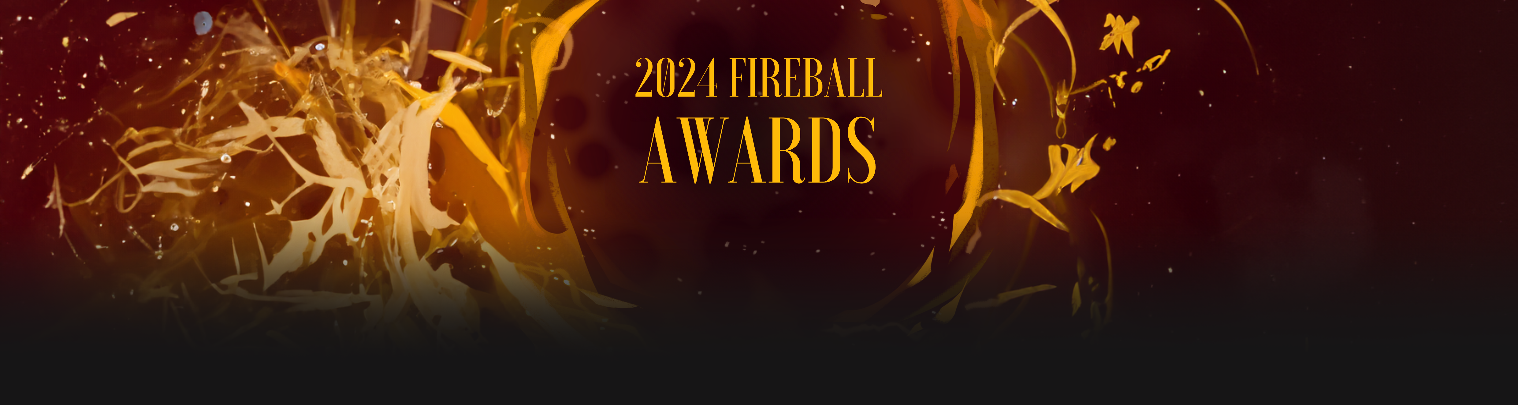 Fireball awards banner bottom
